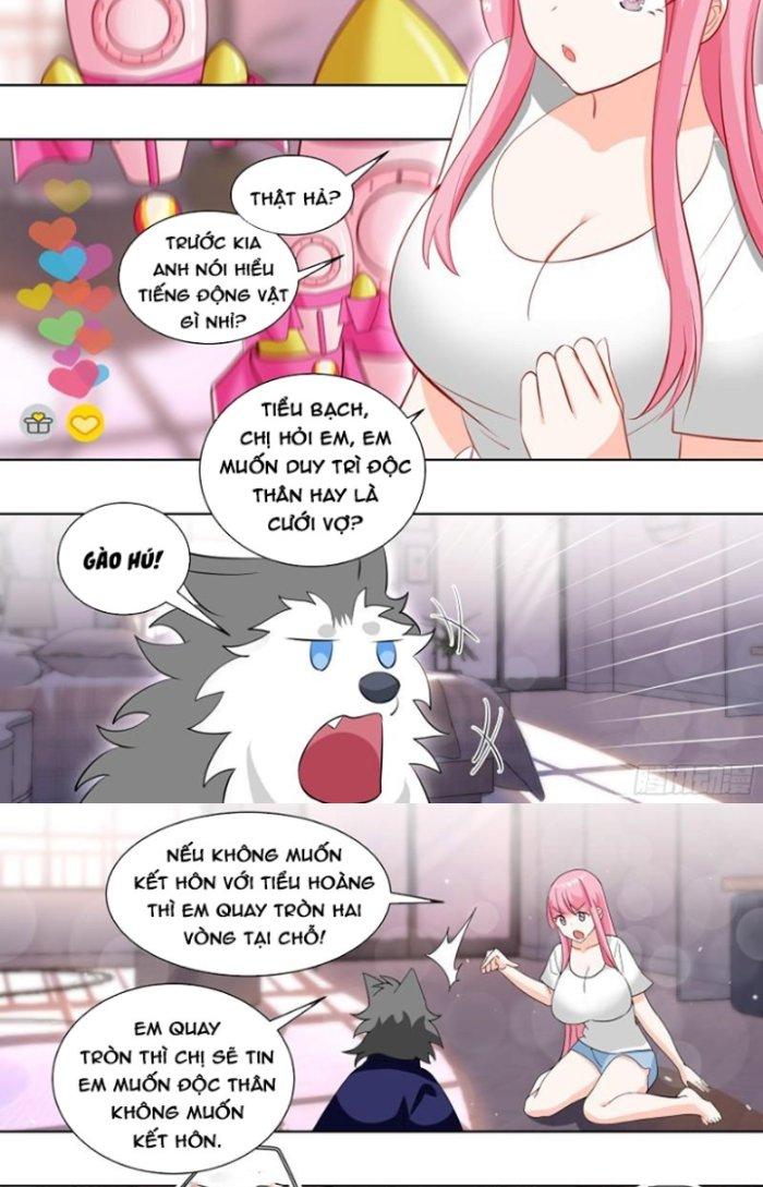 Trọng Sinh Thành Chó Của Nữ Thần Chapter 220 - Trang 4