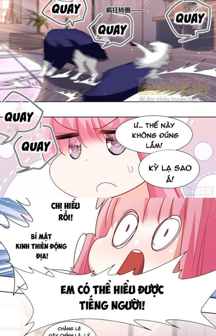 Trọng Sinh Thành Chó Của Nữ Thần Chapter 220 - Trang 4