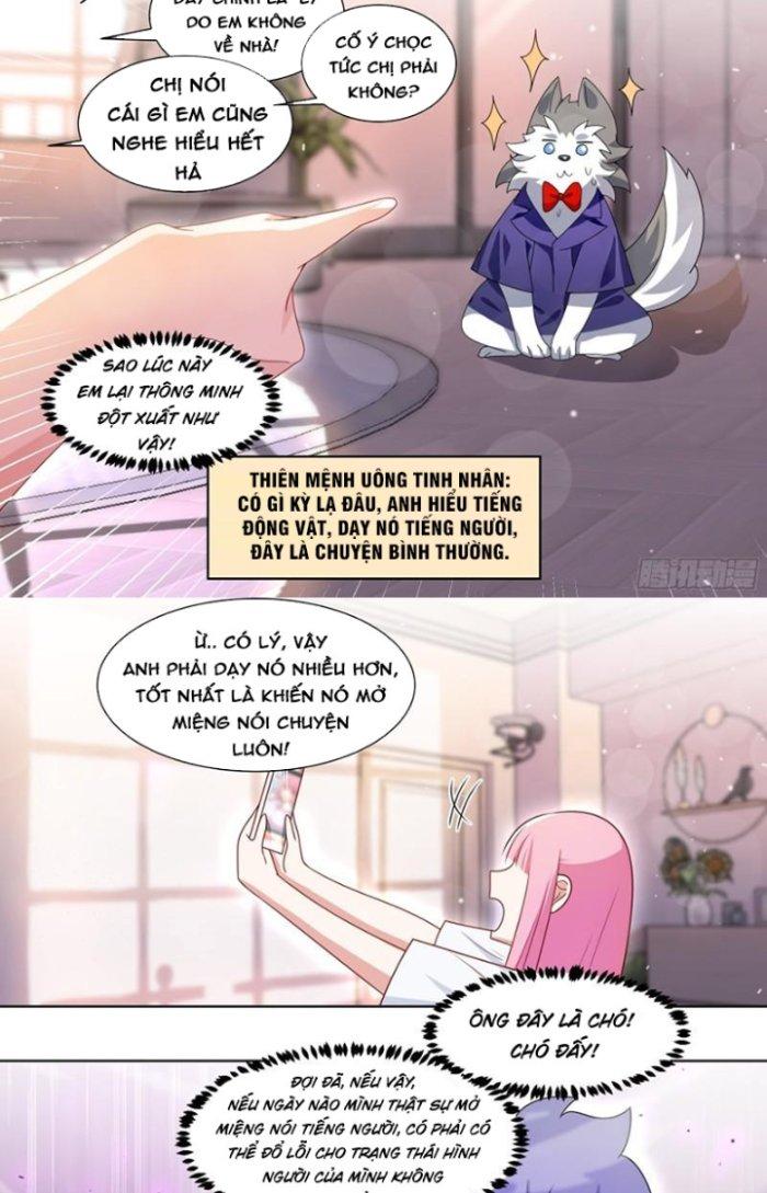 Trọng Sinh Thành Chó Của Nữ Thần Chapter 220 - Trang 4