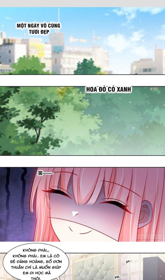 Trọng Sinh Thành Chó Của Nữ Thần Chapter 228 - Trang 4