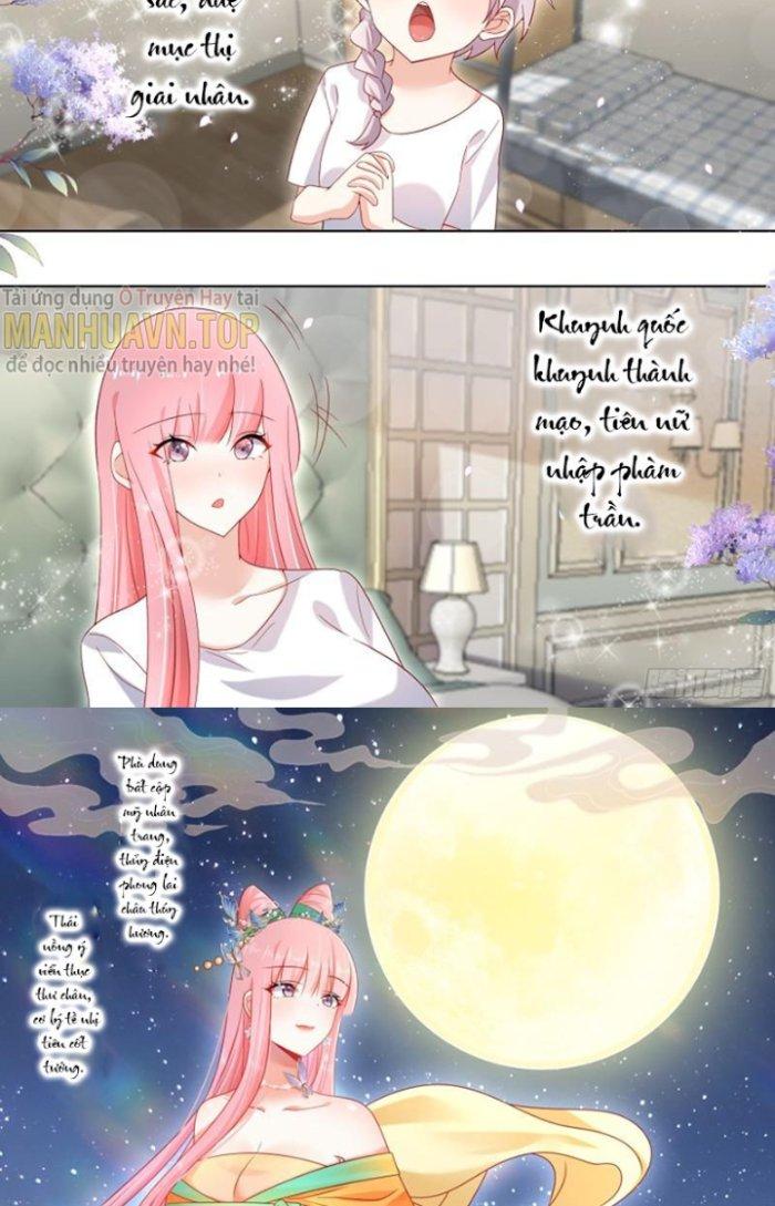 Trọng Sinh Thành Chó Của Nữ Thần Chapter 228 - Trang 4