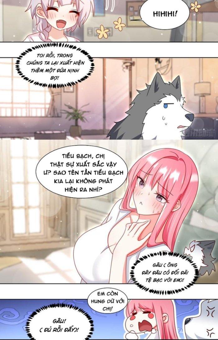 Trọng Sinh Thành Chó Của Nữ Thần Chapter 228 - Trang 4