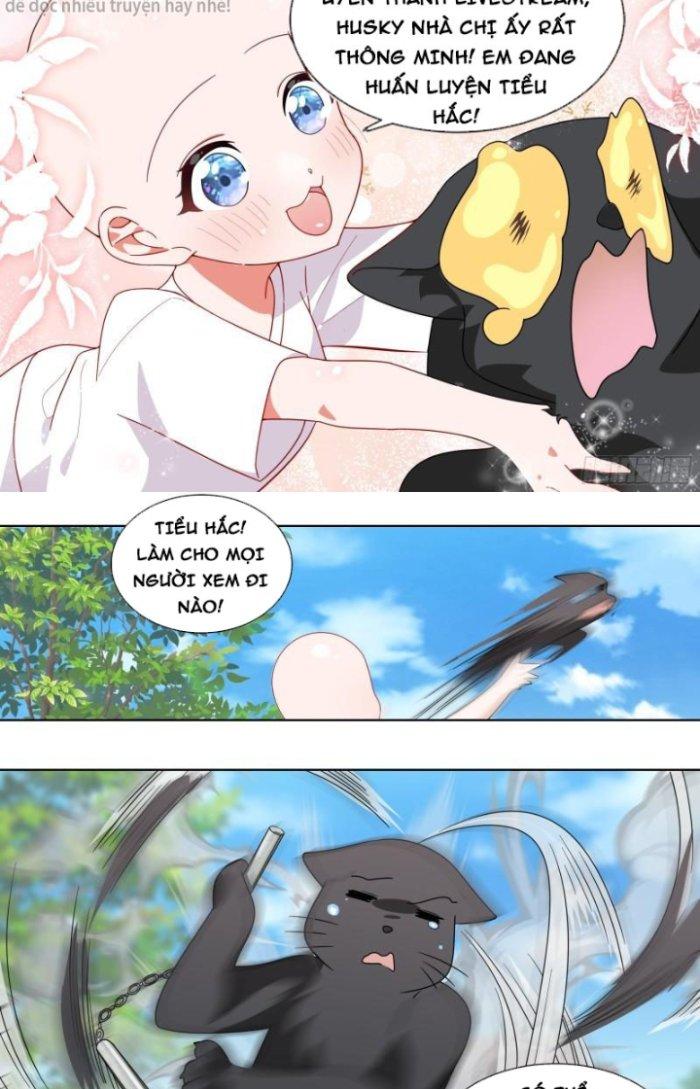 Trọng Sinh Thành Chó Của Nữ Thần Chapter 229 - Trang 4