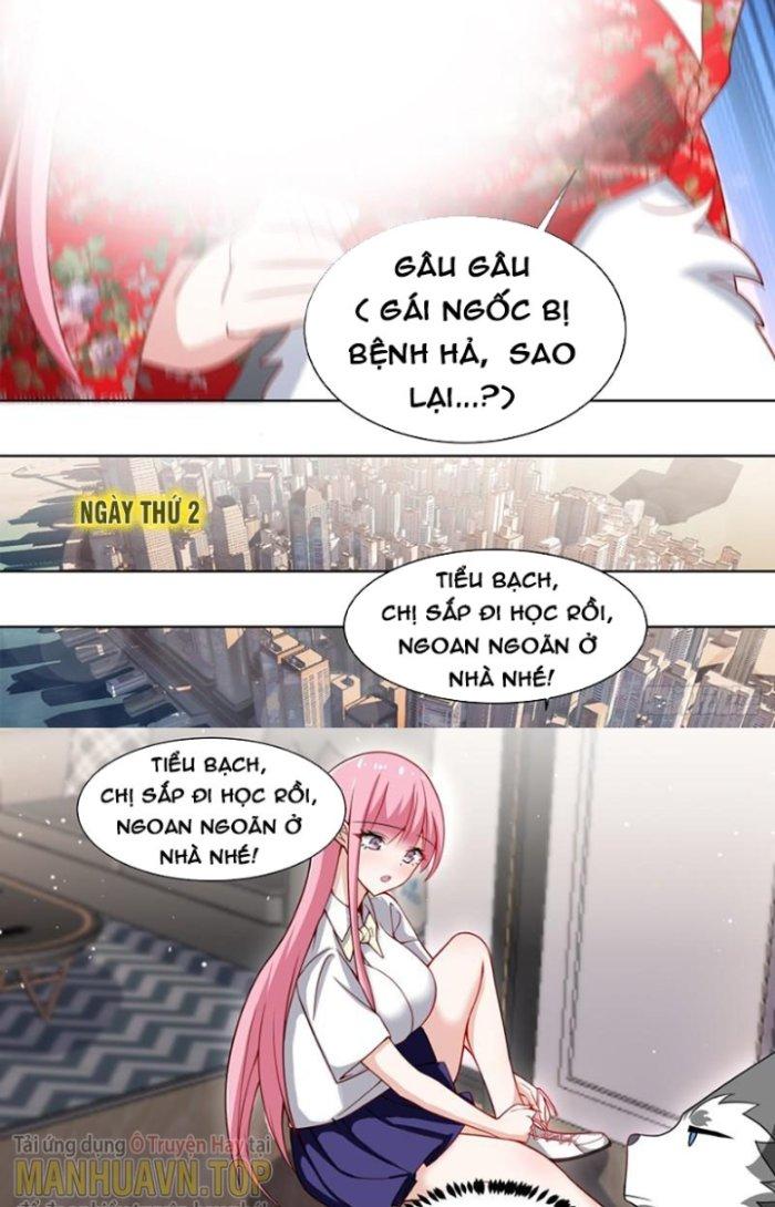 Trọng Sinh Thành Chó Của Nữ Thần Chapter 232 - Trang 4