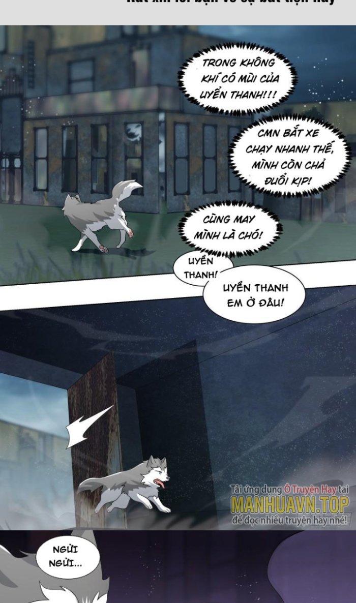 Trọng Sinh Thành Chó Của Nữ Thần Chapter 239 - Trang 4