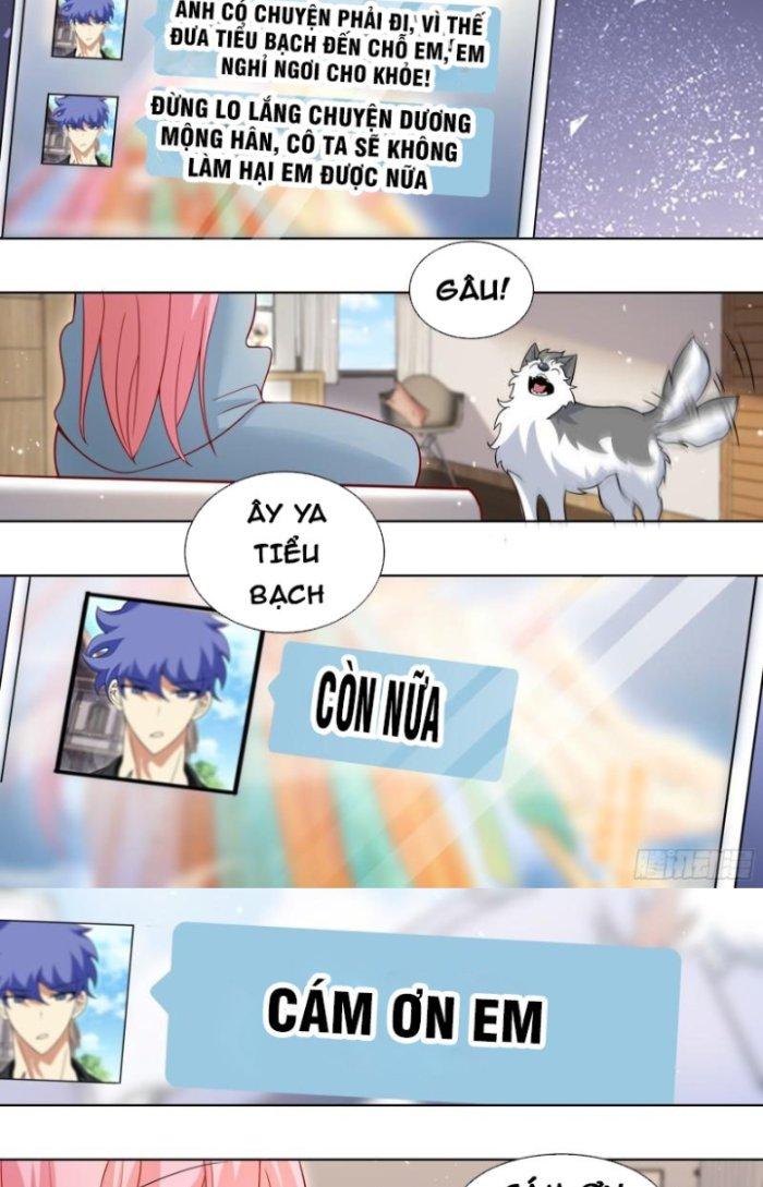 Trọng Sinh Thành Chó Của Nữ Thần Chapter 241 - Trang 4