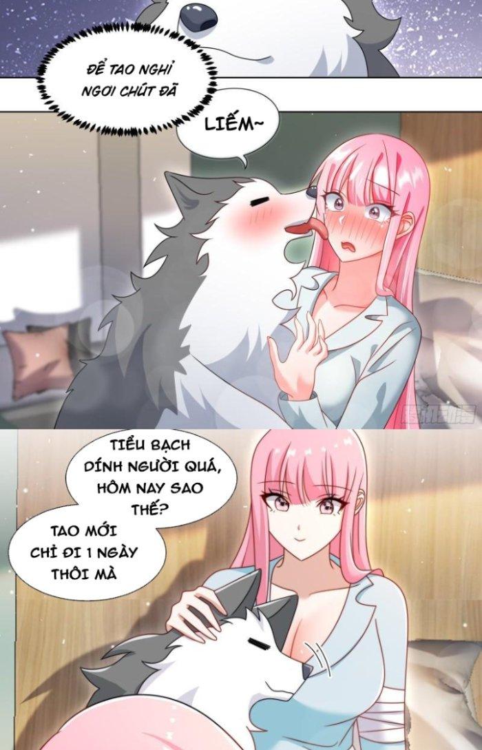 Trọng Sinh Thành Chó Của Nữ Thần Chapter 241 - Trang 4