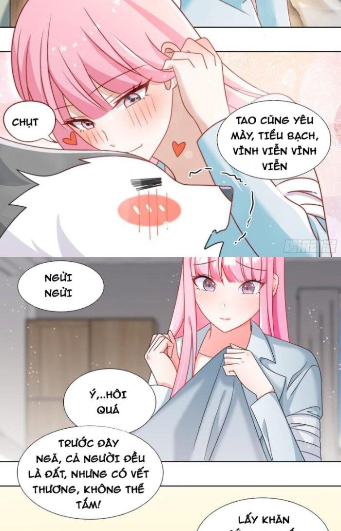 Trọng Sinh Thành Chó Của Nữ Thần Chapter 241 - Trang 4