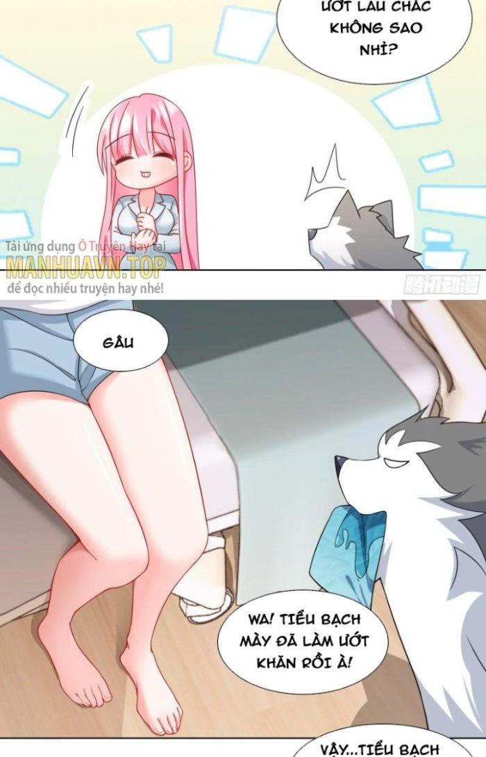 Trọng Sinh Thành Chó Của Nữ Thần Chapter 241 - Trang 4