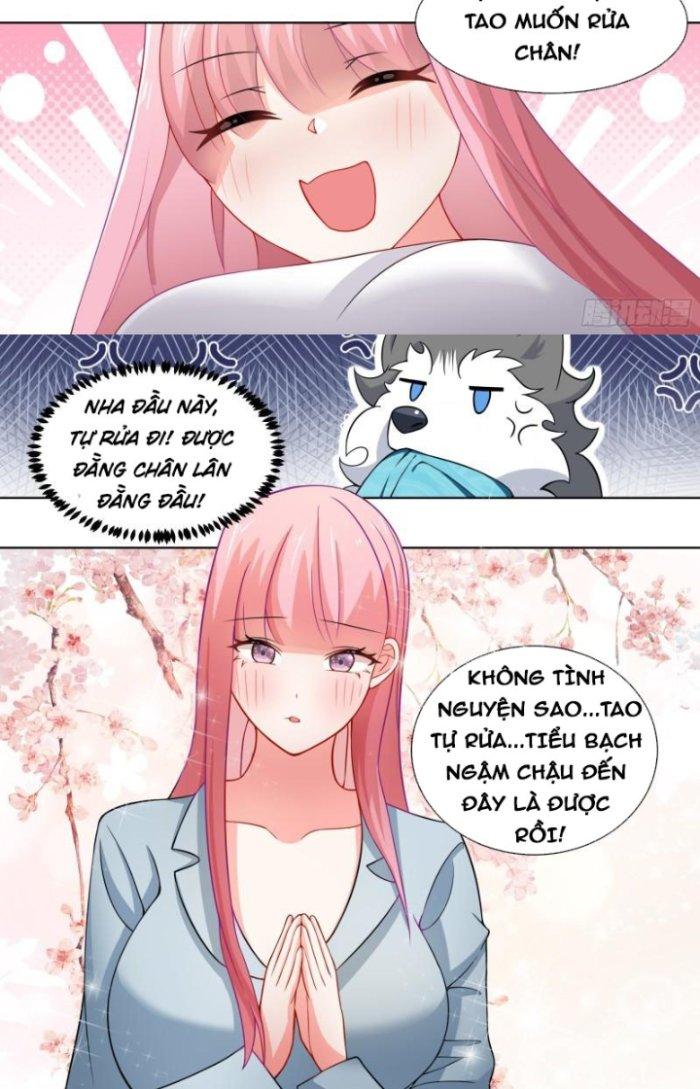 Trọng Sinh Thành Chó Của Nữ Thần Chapter 241 - Trang 4