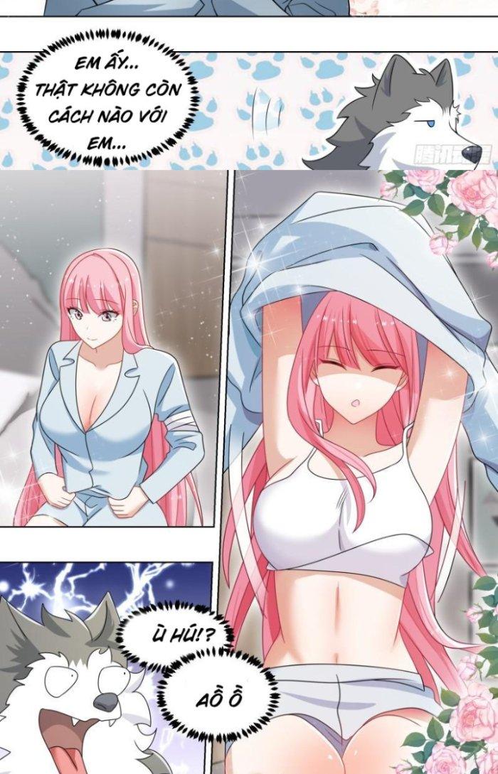 Trọng Sinh Thành Chó Của Nữ Thần Chapter 241 - Trang 4