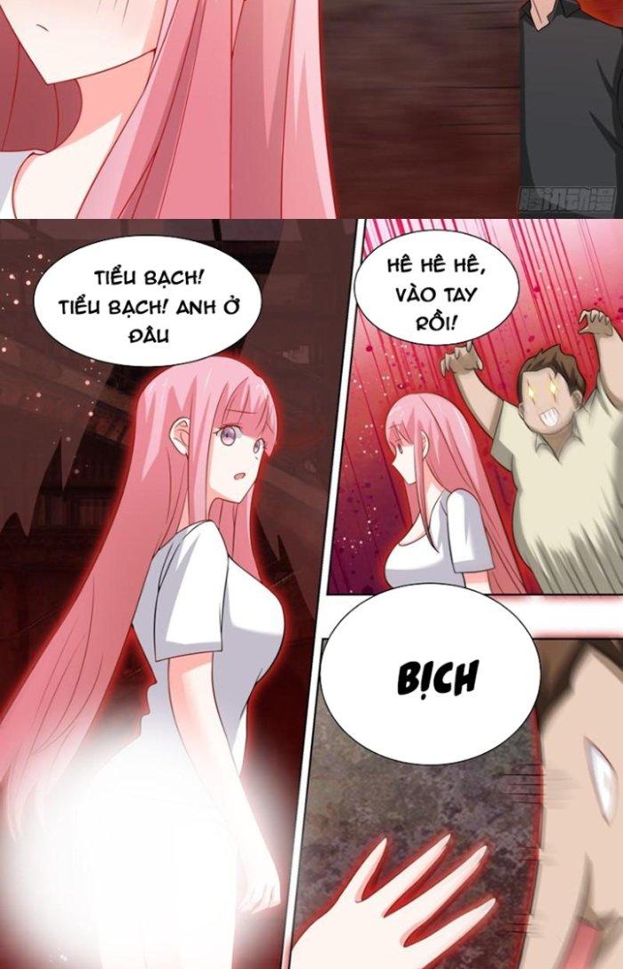 Trọng Sinh Thành Chó Của Nữ Thần Chapter 248 - Trang 4