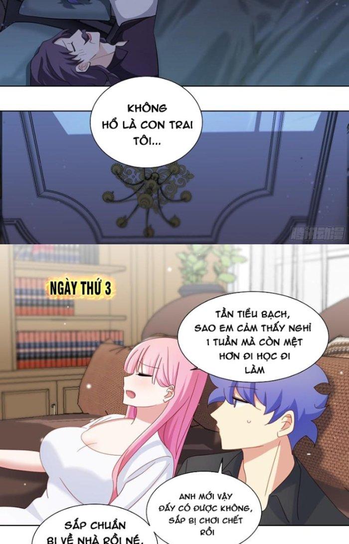Trọng Sinh Thành Chó Của Nữ Thần Chapter 254 - Trang 4