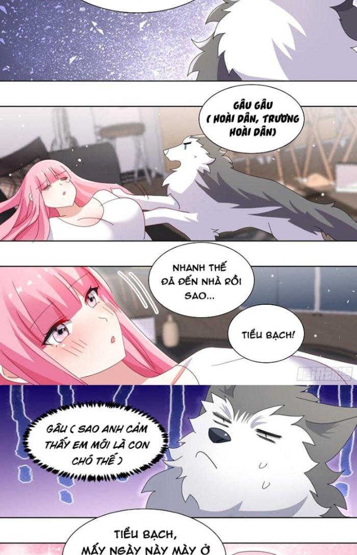 Trọng Sinh Thành Chó Của Nữ Thần Chapter 255 - Trang 4
