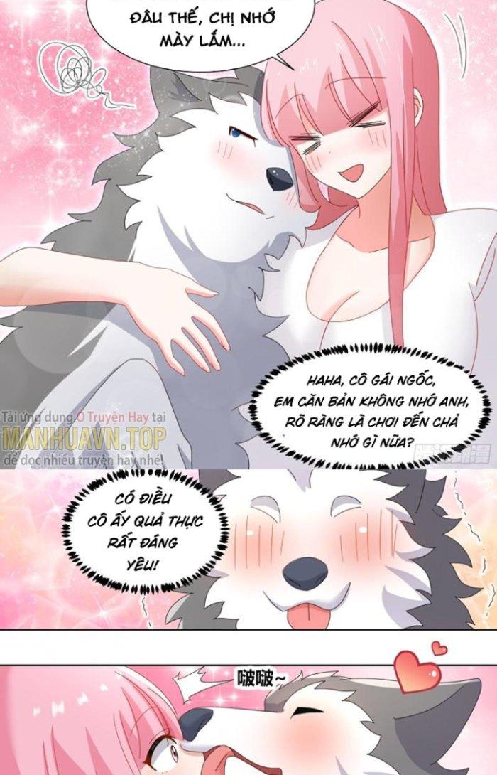 Trọng Sinh Thành Chó Của Nữ Thần Chapter 255 - Trang 4