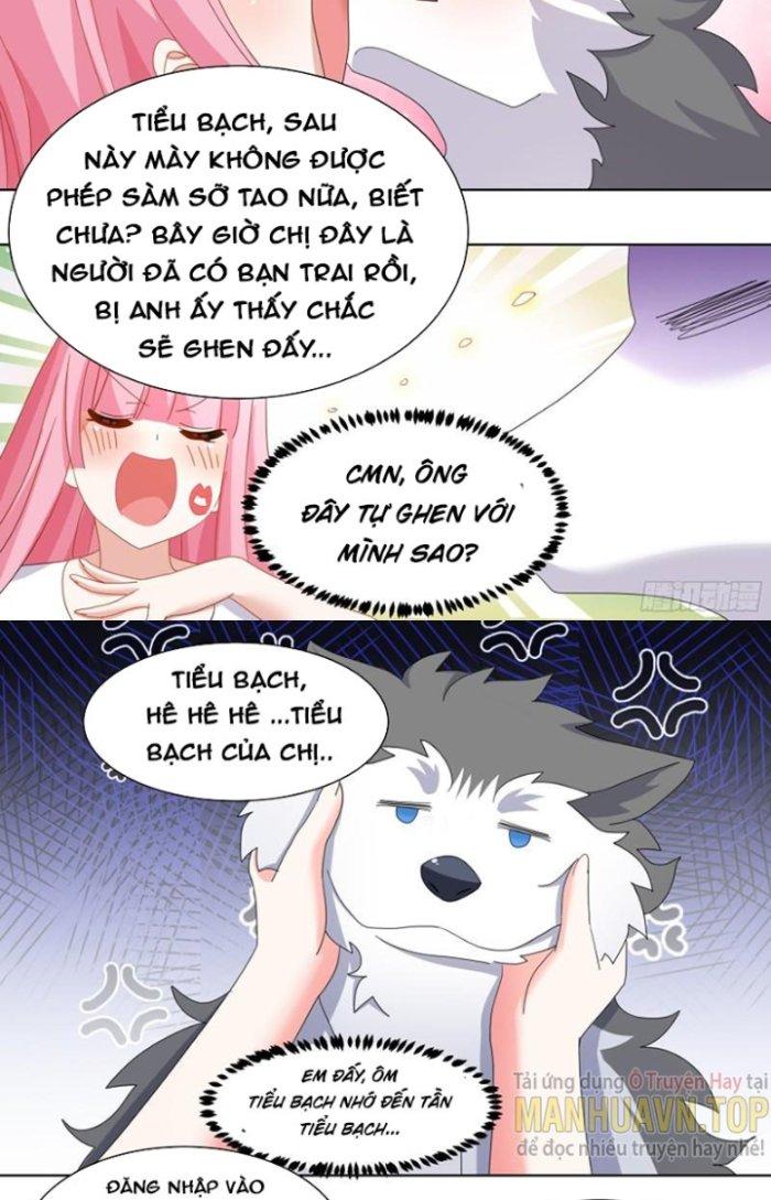 Trọng Sinh Thành Chó Của Nữ Thần Chapter 255 - Trang 4