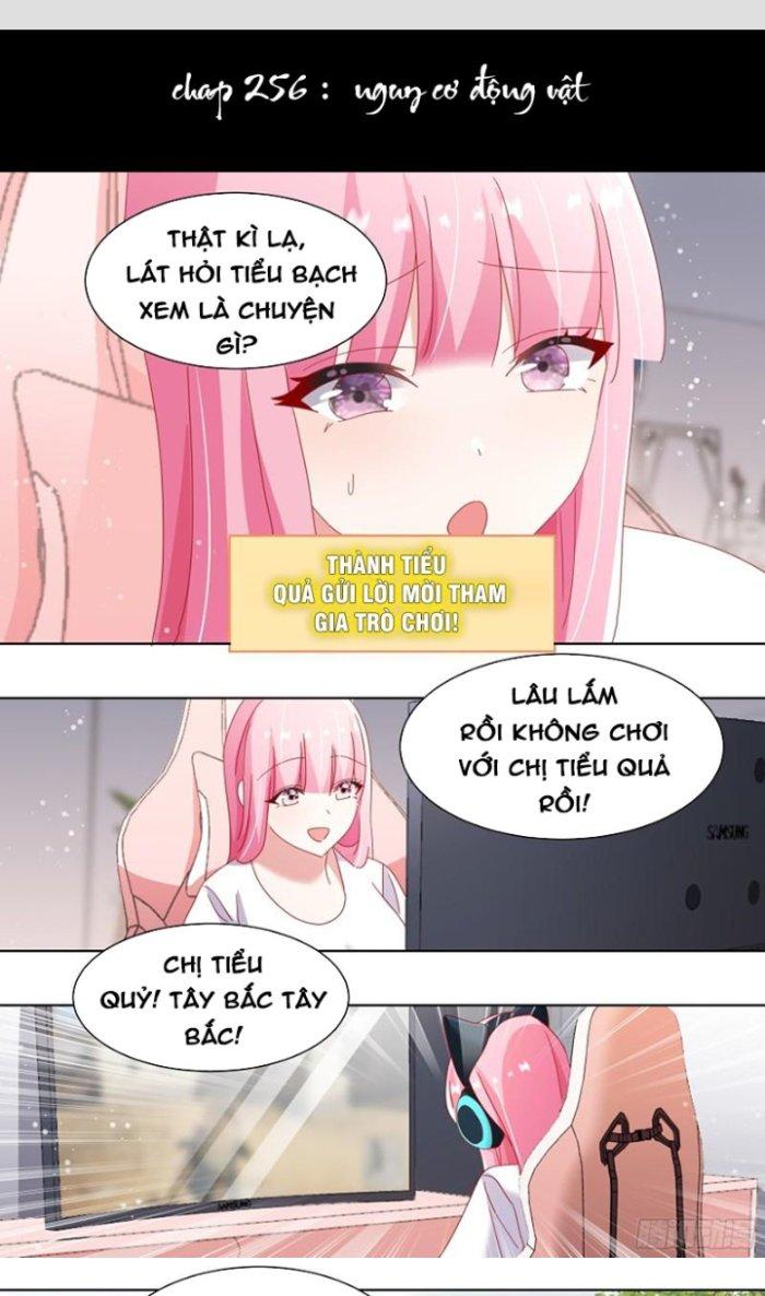 Trọng Sinh Thành Chó Của Nữ Thần Chapter 256 - Trang 4