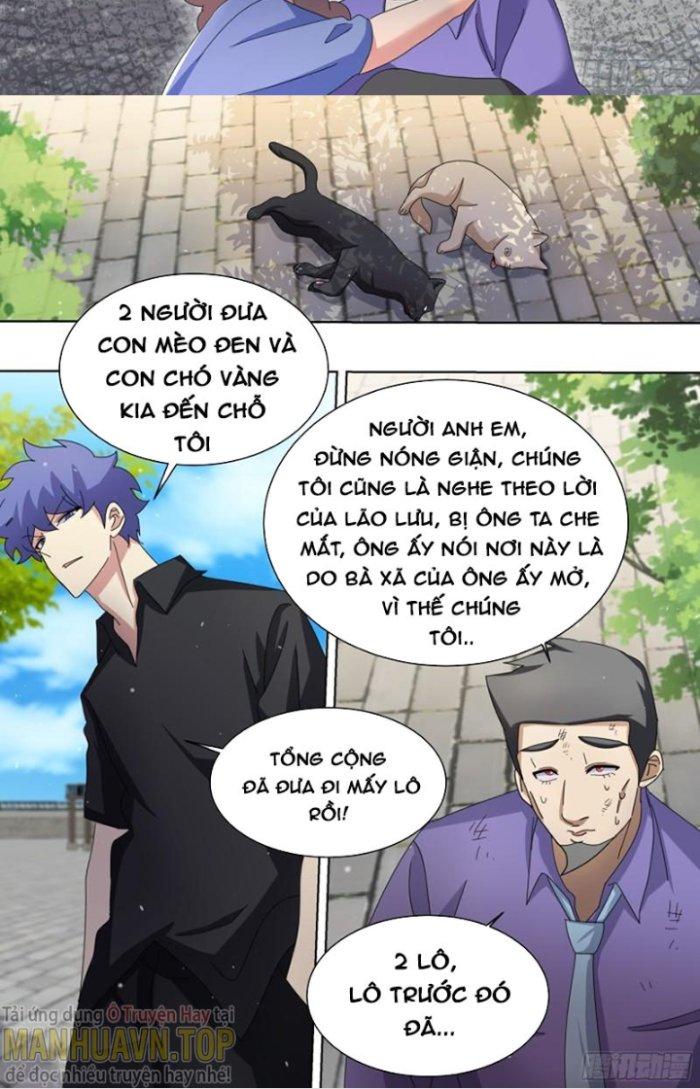 Trọng Sinh Thành Chó Của Nữ Thần Chapter 256 - Trang 4