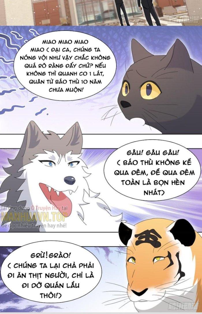 Trọng Sinh Thành Chó Của Nữ Thần Chapter 258 - Trang 4