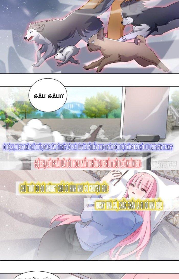 Trọng Sinh Thành Chó Của Nữ Thần Chapter 258 - Trang 4