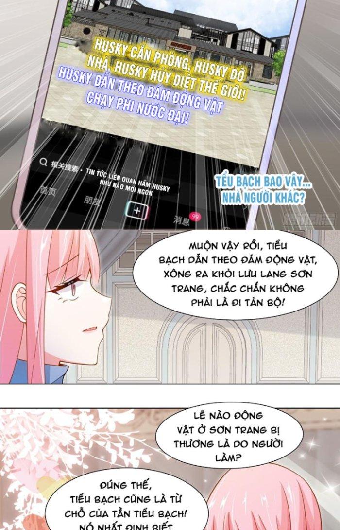 Trọng Sinh Thành Chó Của Nữ Thần Chapter 258 - Trang 4