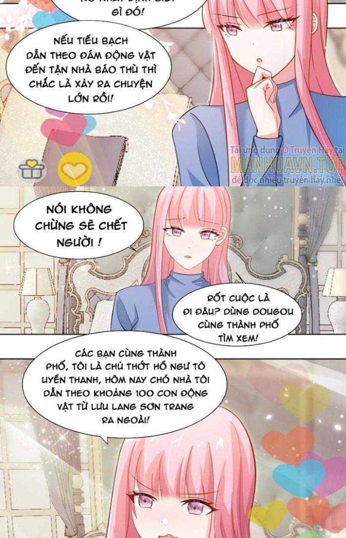 Trọng Sinh Thành Chó Của Nữ Thần Chapter 258 - Trang 4