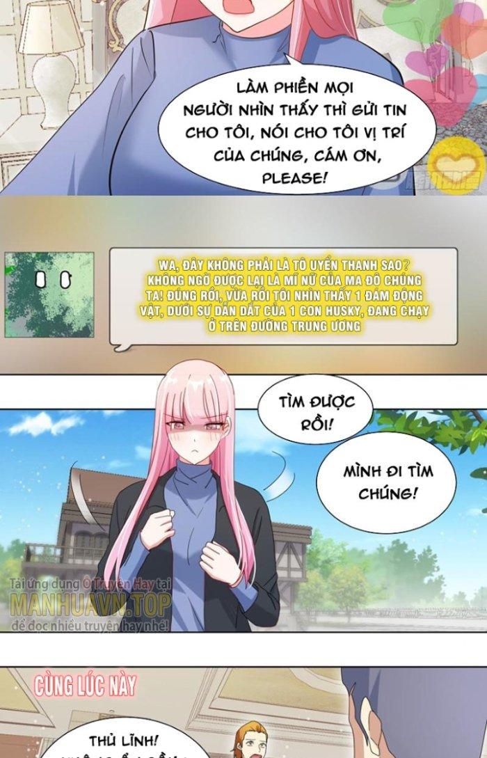 Trọng Sinh Thành Chó Của Nữ Thần Chapter 258 - Trang 4