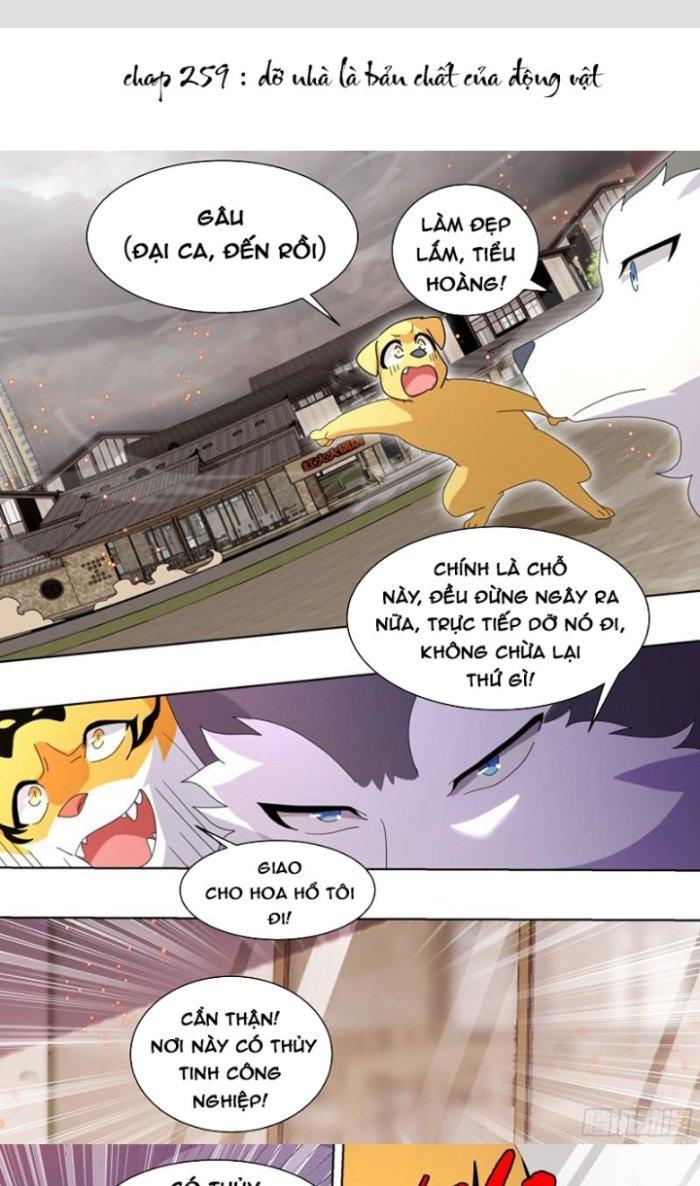 Trọng Sinh Thành Chó Của Nữ Thần Chapter 259 - Trang 3