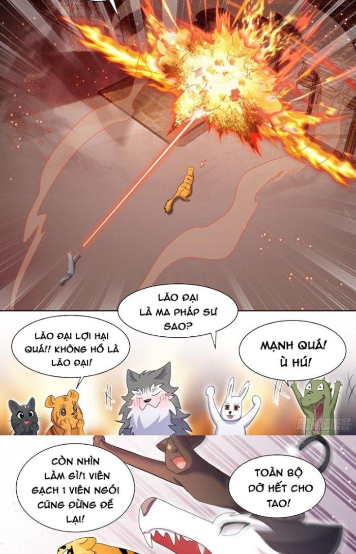 Trọng Sinh Thành Chó Của Nữ Thần Chapter 259 - Trang 3