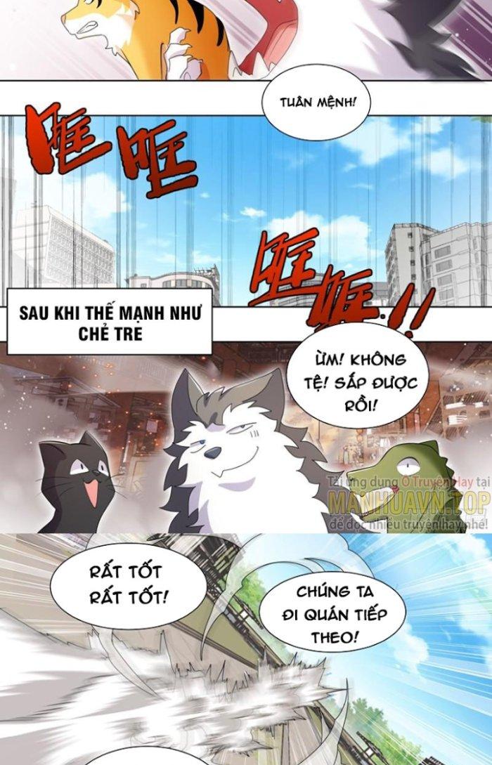 Trọng Sinh Thành Chó Của Nữ Thần Chapter 259 - Trang 3