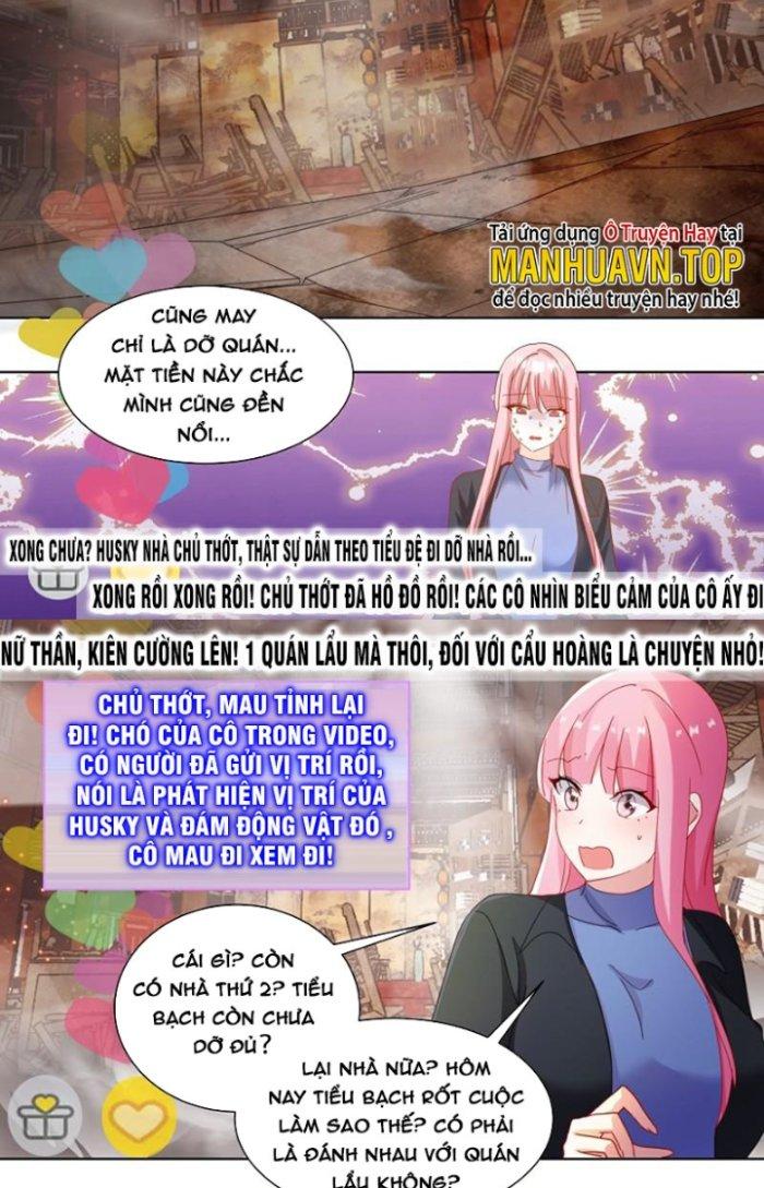 Trọng Sinh Thành Chó Của Nữ Thần Chapter 259 - Trang 3