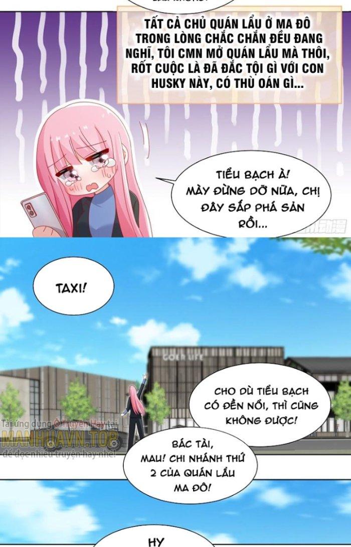 Trọng Sinh Thành Chó Của Nữ Thần Chapter 259 - Trang 3