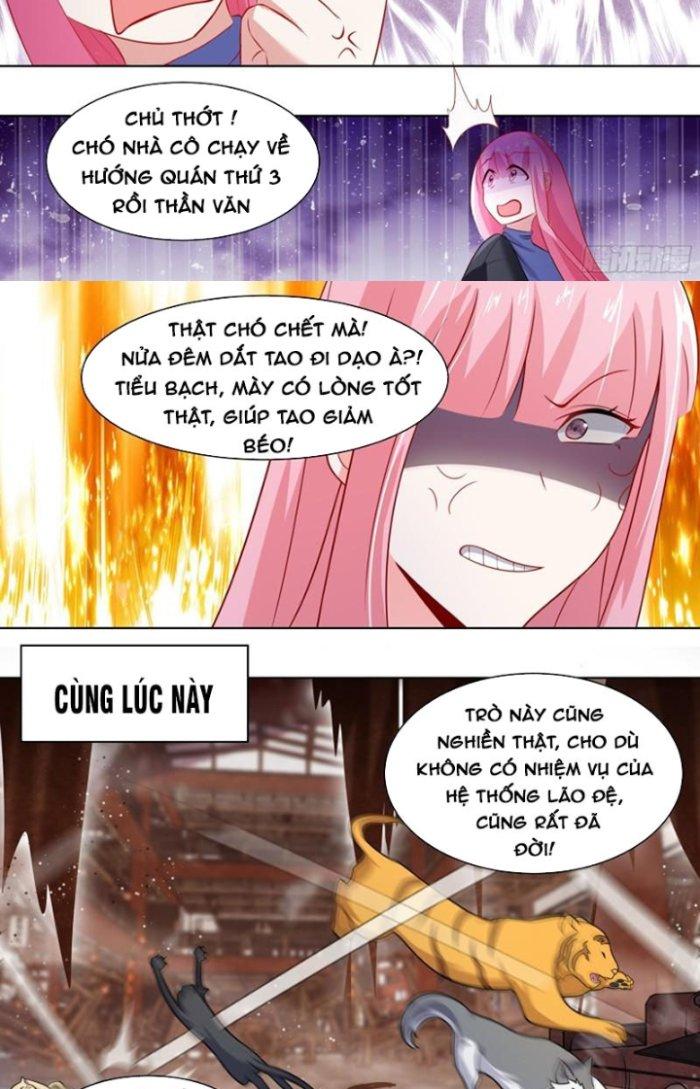 Trọng Sinh Thành Chó Của Nữ Thần Chapter 259 - Trang 3