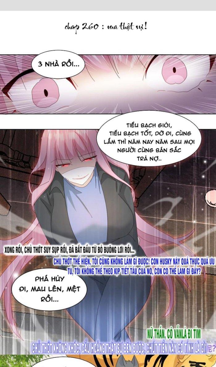 Trọng Sinh Thành Chó Của Nữ Thần Chapter 260 - Trang 3