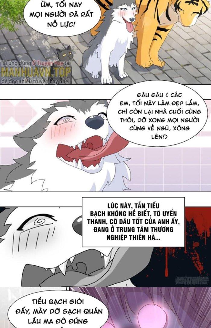 Trọng Sinh Thành Chó Của Nữ Thần Chapter 260 - Trang 3