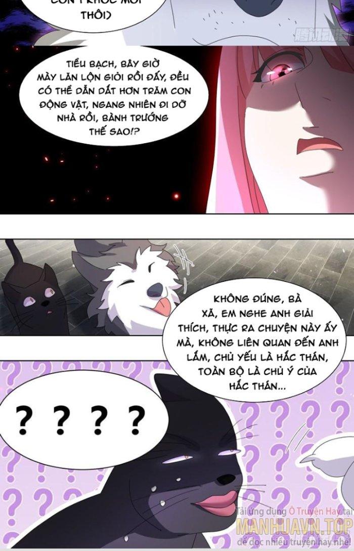Trọng Sinh Thành Chó Của Nữ Thần Chapter 260 - Trang 3