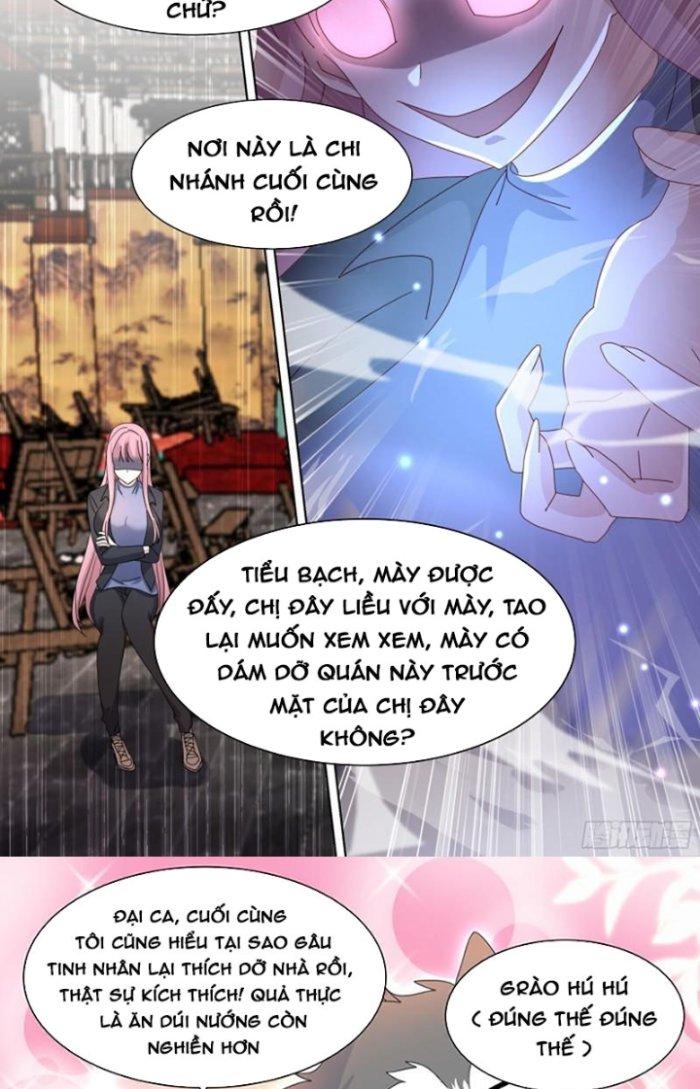 Trọng Sinh Thành Chó Của Nữ Thần Chapter 260 - Trang 3