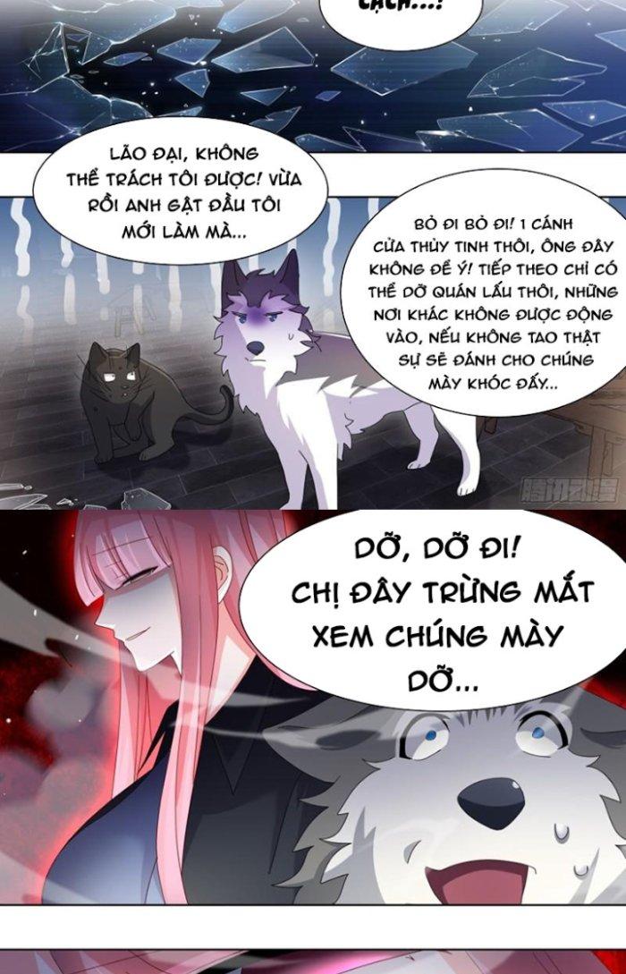 Trọng Sinh Thành Chó Của Nữ Thần Chapter 260 - Trang 3
