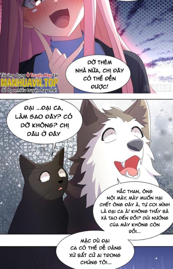 Trọng Sinh Thành Chó Của Nữ Thần Chapter 260 - Trang 3