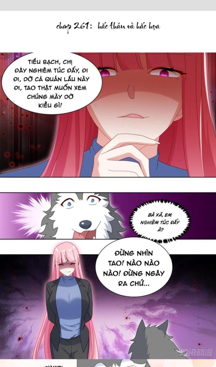 Trọng Sinh Thành Chó Của Nữ Thần Chapter 261 - Trang 3