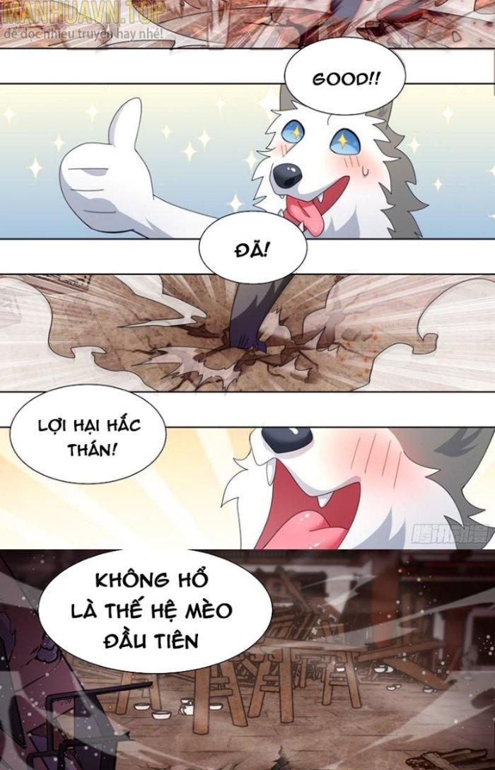 Trọng Sinh Thành Chó Của Nữ Thần Chapter 261 - Trang 3