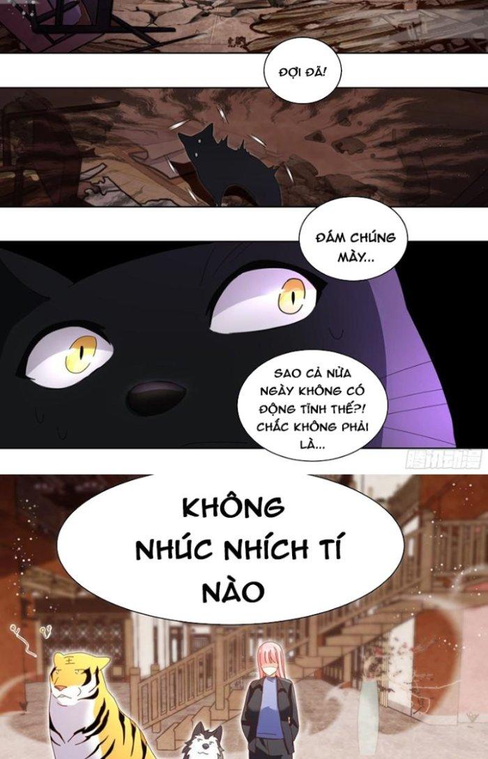 Trọng Sinh Thành Chó Của Nữ Thần Chapter 261 - Trang 3