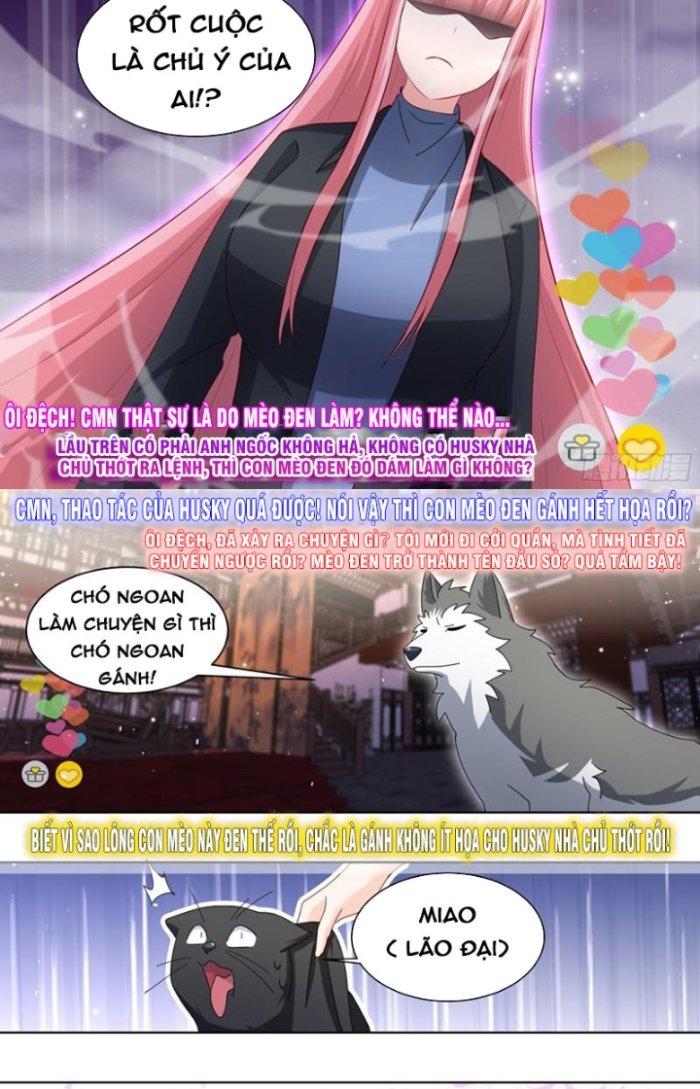 Trọng Sinh Thành Chó Của Nữ Thần Chapter 261 - Trang 3