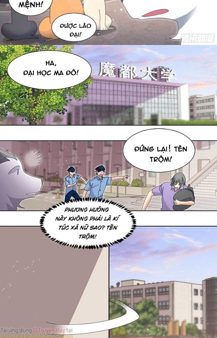 Trọng Sinh Thành Chó Của Nữ Thần Chapter 262 - Trang 3