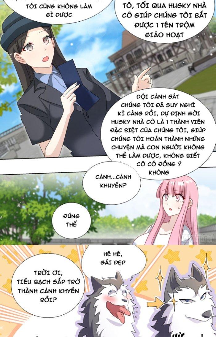 Trọng Sinh Thành Chó Của Nữ Thần Chapter 264 - Trang 3