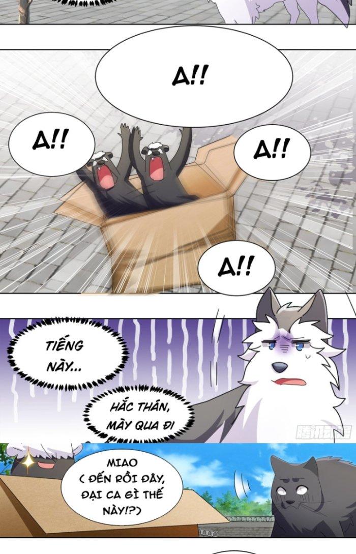 Trọng Sinh Thành Chó Của Nữ Thần Chapter 265 - Trang 3