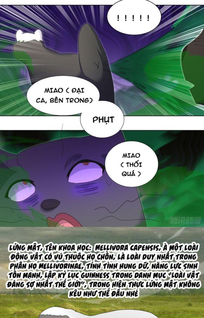 Trọng Sinh Thành Chó Của Nữ Thần Chapter 265 - Trang 3