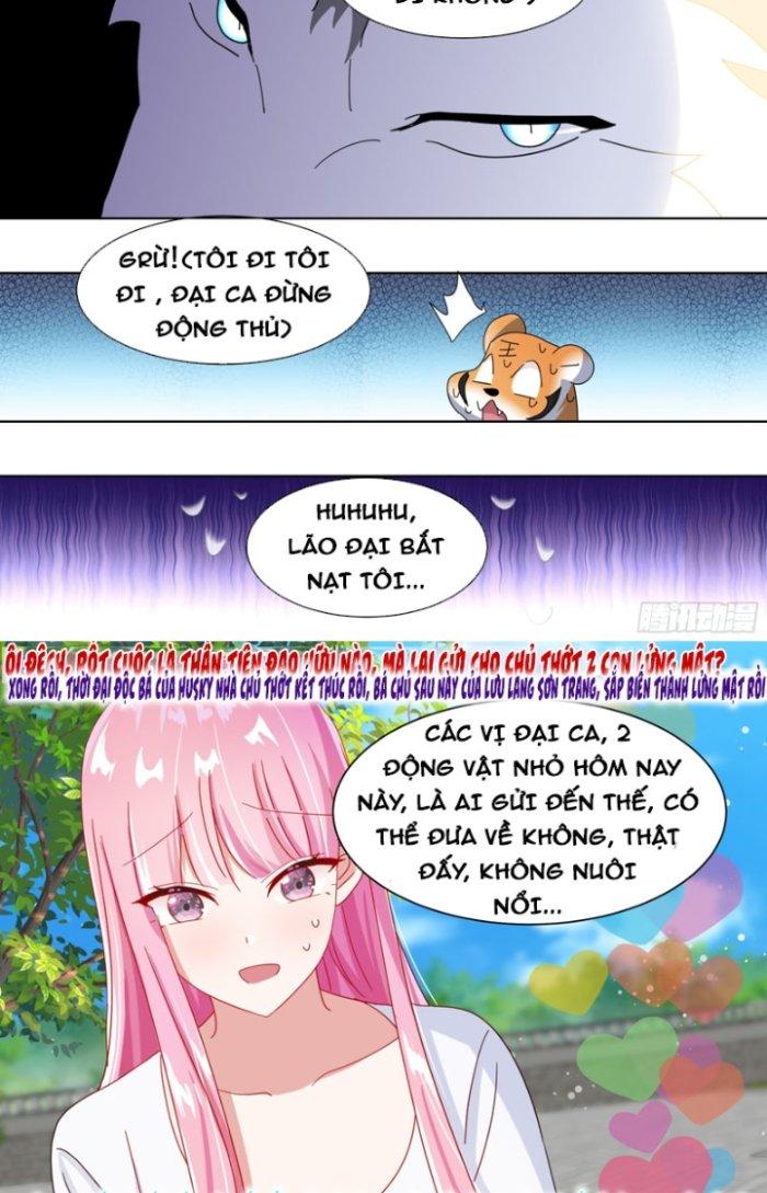 Trọng Sinh Thành Chó Của Nữ Thần Chapter 265 - Trang 3
