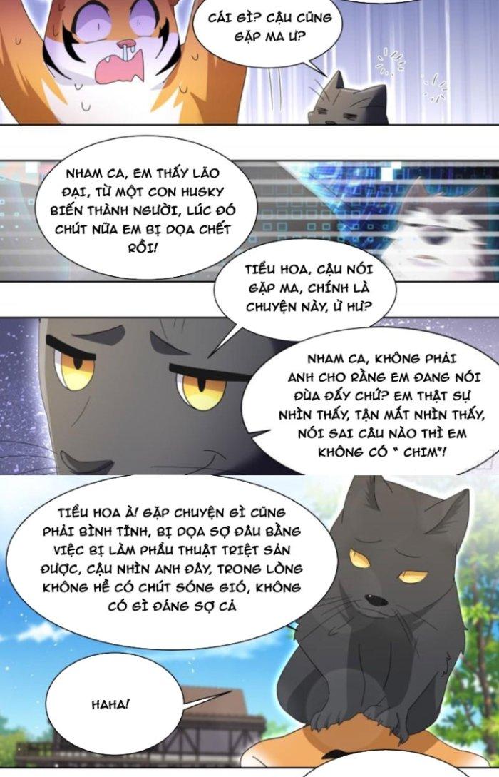 Trọng Sinh Thành Chó Của Nữ Thần Chapter 266 - Trang 3