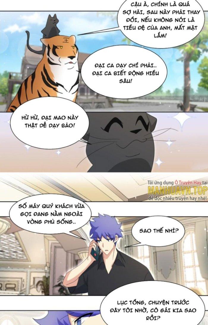 Trọng Sinh Thành Chó Của Nữ Thần Chapter 266 - Trang 3